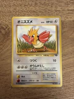 オニスズメ ● 第2弾拡張パック ポケモンジャングル