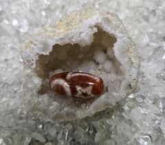 189 天珠 日月星天珠 紅色 龍紋 dzibeads！ - メルカリ