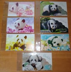 良浜 桜浜 桃浜 結浜 楓浜 マスクケース アドベンチャーワールド