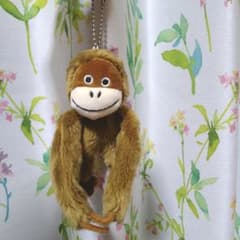 おサルのぬいぐるみ　オラウータン①のサムネイル