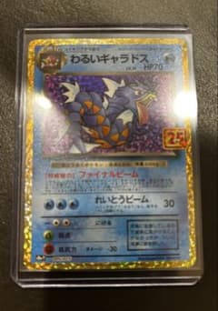 わるいギャラドス プロモカードパック 25th ANNIVERSARY edi…のサムネイル