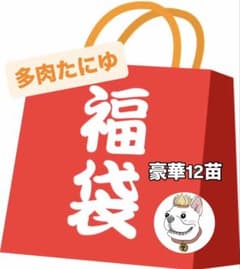 2026多肉たにゆ袋　豪華12苗 多肉たにゆ福袋 多肉植物 - メルカリ