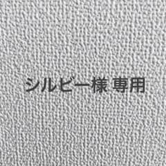 シルビー様 専用のサムネイル