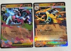 海外】メガリザードン ex X Y セット 英語版 プロモ ポケモンカード