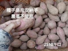 種子島産安納芋　農薬不使用　2S10キロのサムネイル