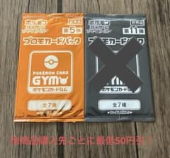 ポケモンカード 未開封 プロモカードパック 2種2パックセット ①