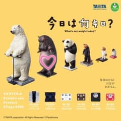 今日は何キロ？カバのサムネイル