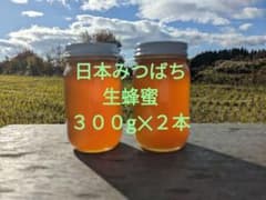 日本みつばち　生蜂蜜　非加熱　国産純粋　日本蜜蜂蜂蜜　#2のサムネイル