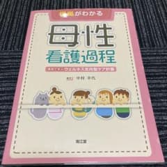根拠がわかる母性看護過程 事例で学ぶウェルネス志向型ケア計画のサムネイル