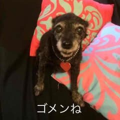 みるくteaU^ェ^U さま 専用のサムネイル