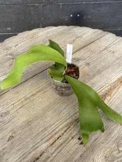 m95477751190_1.jpg?1757588975