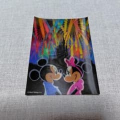 東京ディズニーランド 絵はがき 角度で変わる シンデレラ城のサムネイル
