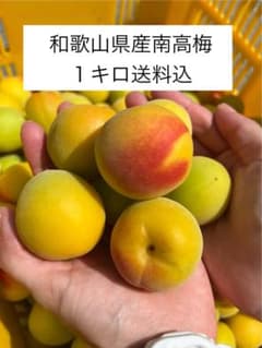 和歌山県産南高梅（手もぎ完熟）１キロ送料込のサムネイル