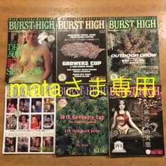 BURST HIGH バーストハイ　まとめてのサムネイル
