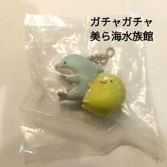 沖縄美ら海水族館★ガチャガチャ★すみっコぐらし★ぺんぎん★イルカ