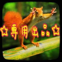 ☆ナミ様専用☆のサムネイル