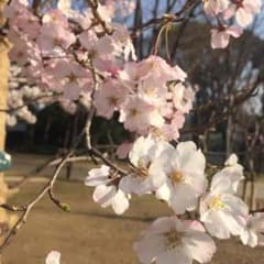 神威さん専用のサムネイル
