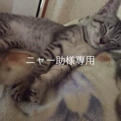 ニャー助様専用のサムネイル
