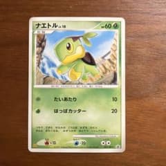 ポケモンカード ナエトル プロモ 027/DP-Pのサムネイル