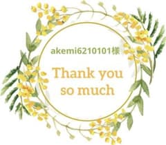 akemi6210101様＊おまとめページ＊ご確認をお願いします(* ᴗ͈ˬᴗ͈)”のサムネイル