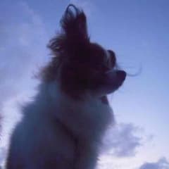 Miyaki様取り置きのサムネイル