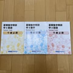 早稲アカ 夏期集中特訓 中3 早慶必勝クラス 英語・数学・国語 3冊
