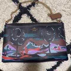 COACH ハンドバックのサムネイル