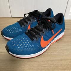 Nike Zoom Streak 6 ナイキ　ズームストリーク6 26.0cmのサムネイル