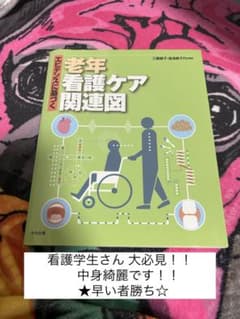 るい様専用  エビデンスに基づく老年看護ケア関連図のサムネイル