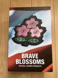 BE@RBRICK BRAVE BLOSSOMS ラグビー日本代表2019のサムネイル