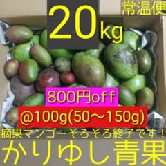 沖縄県産摘果/青/グリーンマンゴーB品@100g(50〜150g)約20kg常温