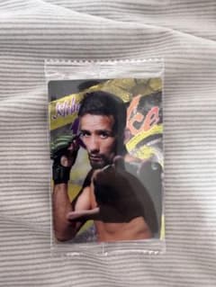 RIZIN トレーディングカード クレベル・コイケ No.14のサムネイル