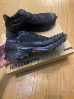 エ※さん専用Salomon ALPHACROSS 5 GTX 25.0cmのサムネイル