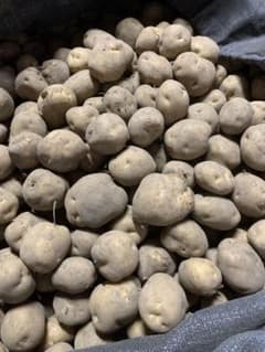 新じゃが　北海道産男爵　10kg M〜Lサイズのサムネイル