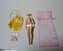 アイシードールボディ　ミディブライスサイズのサムネイル
