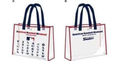【新品未使用】スワローズ　クリアBIGバッグのサムネイル