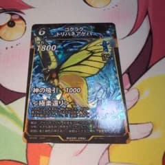 蟲神器 ゴクラクトリバネアゲハ - メルカリ