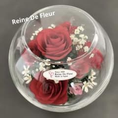 Reine De Fleur レンデフロール プリザーブドフラワー - メルカリ