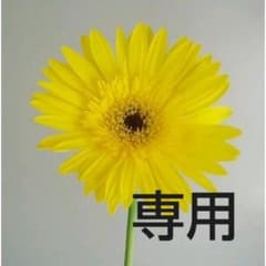 ■専用■ノースフェイストートバックのサムネイル