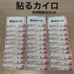 エステー 貼るカイロ 30個入のサムネイル