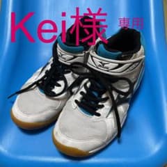 ミズノ バレーシューズのサムネイル