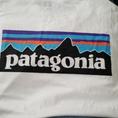 PatagoniaTシャツSサイズ美品のサムネイル