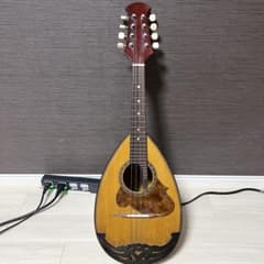 1970年 SUZUKI VIOLIN マンドリン226 ヴィンテージ - メルカリ