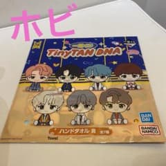이치 반 쿠지 TinyTAN DNA 핸들 타월상 호비