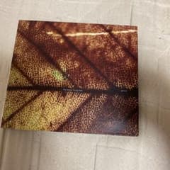 Pay money To my Pain CD3枚のサムネイル