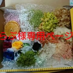 ハーバリウム花材のサムネイル