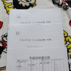 介護福祉士　平成29年度　学力評価試験問題のサムネイル