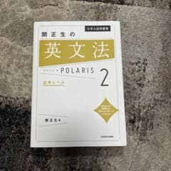 大学入試問題集 関正生の英文法ポラリス 2 応用レベルのサムネイル