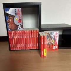大甲子園 水島新司 文庫版 1〜17巻セット - メルカリ