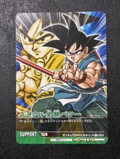 ドラゴンボールZ データカードダス ミラクル全開パワー DB-048-II
